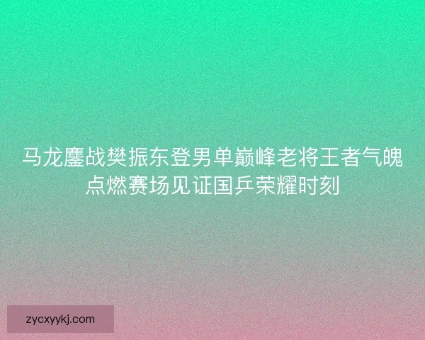 马龙鏖战樊振东登男单巅峰老将王者气魄点燃赛场见证国乒荣耀时刻